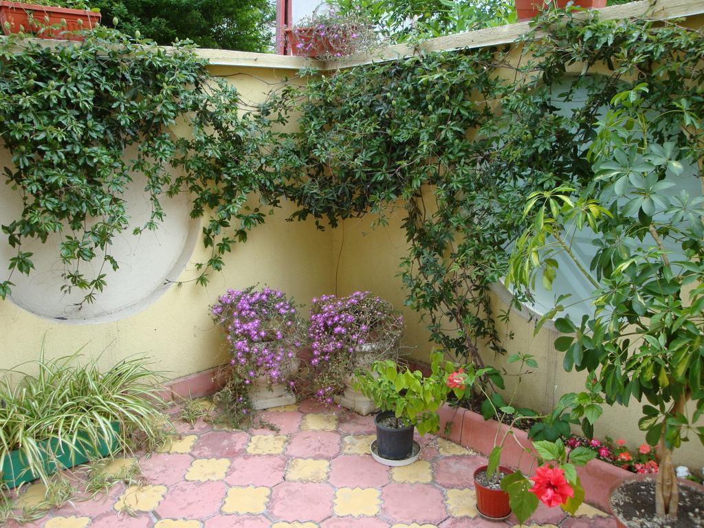 Stela Guest House Tsarevo Habitación foto
